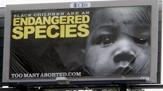 Debunking The Myths About Race And Abortion